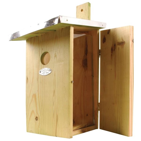 Blåmesar observatorium holk