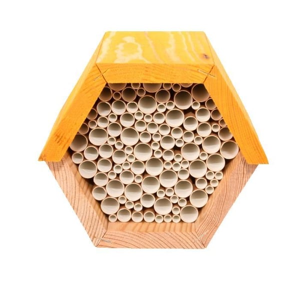 Hexagonal biodla - L 14,6 x l 14,8 x H 12,8 cm
