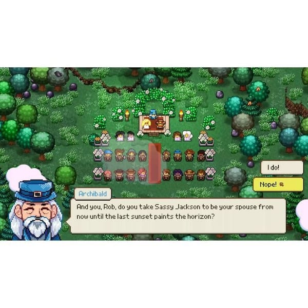 Cattle Country - Nintendo Switch-spel