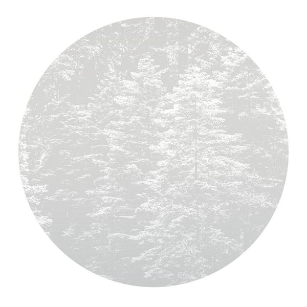Fototapet 2553N-71 digitaltryck natur landskap 1,5 x 2,7 m Erismann Fashion for Walls digital grå
