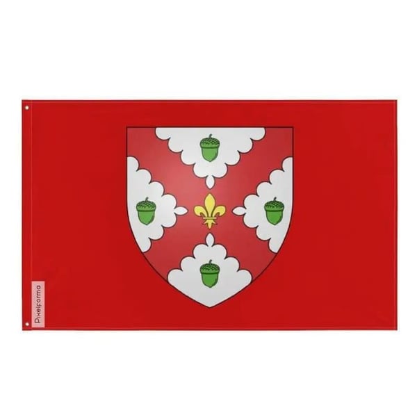 Flagga Acton Vale – 90 x 150 cm – Hållbar Polyester – 2 Metallöglor – Inomhus / Utomhus – Pixelforma