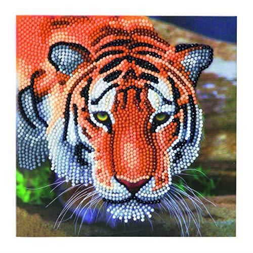 CRYSTAL ART- Diamond Card Kit, CCKA40, Assorted, 18x18cm