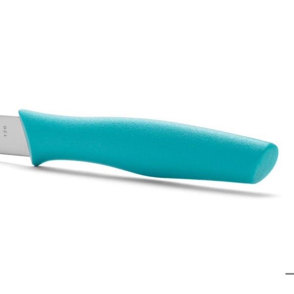 Skalningskniv - Arco - Turkos - 100mm - Rostfritt stål NITRUM®