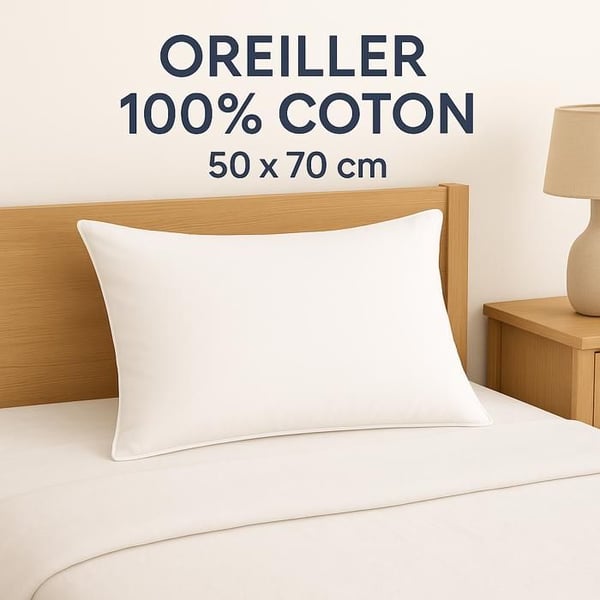 OREILLER CELESTE - 60X60 - 100% BOMULL 133X100 - 700G