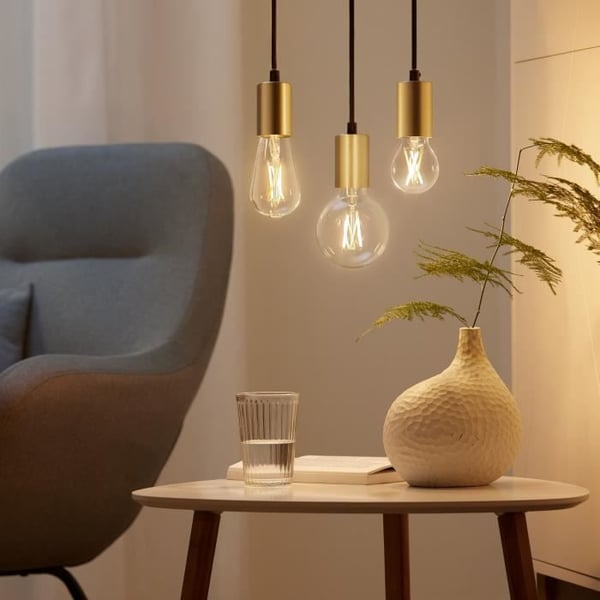 WiZ Vintage Edison smart lampa Variabel vit E27 60W