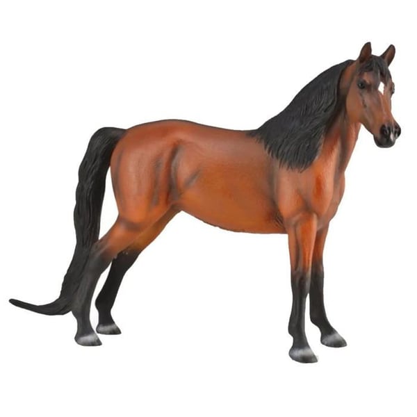 Figuriner Djur - COLLECTA - Morgan Bay - 1:12 - Lyxigt fönsterbox - Från 3 år