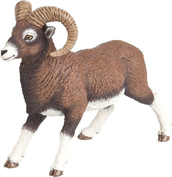 Figurin - PAPO - Mouflon - Pojke - 3 år och över - Brun, vit och svart