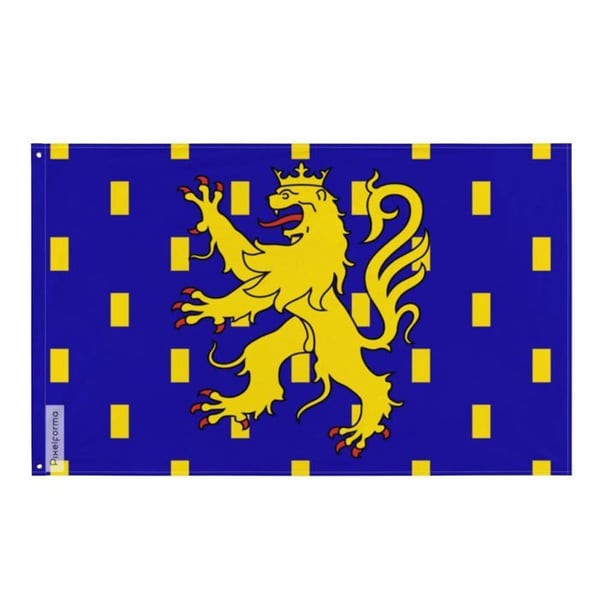 Flagga Franche-Comté – 160 x 240 cm – Motståndskraftig Polyester – 2 Metallöglor – Inomhus / Utomhus – Pixelforma