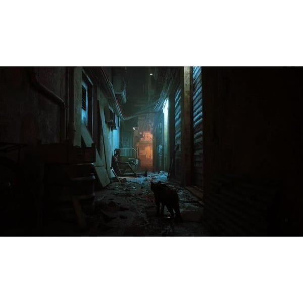 Stray PS5-spel