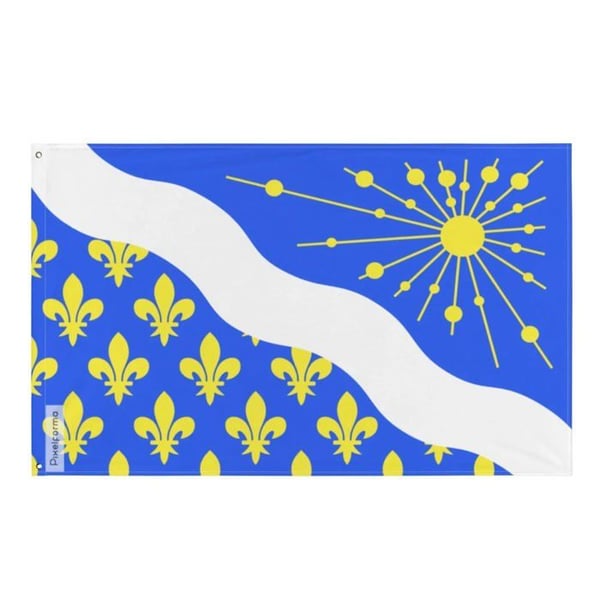 Essonne-flagg – 90 x 150 cm – Hållbar polyester – 2 ögon av metall – För inomhus- och utomhusbruk – Pixelforma