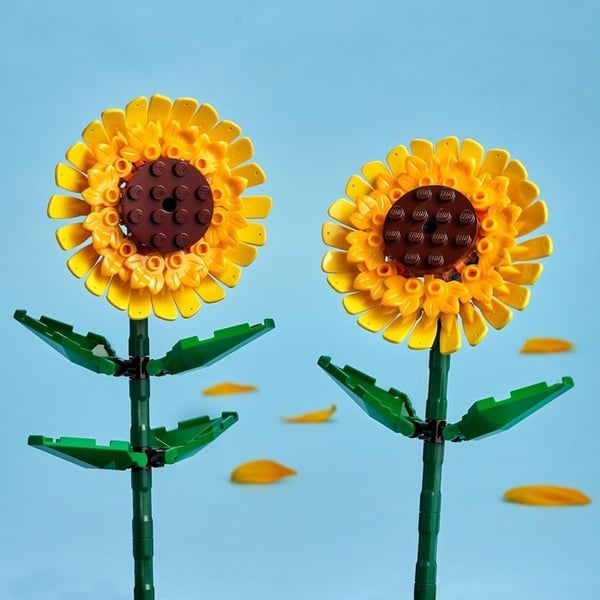 40524 Solrosor ® Botanicals