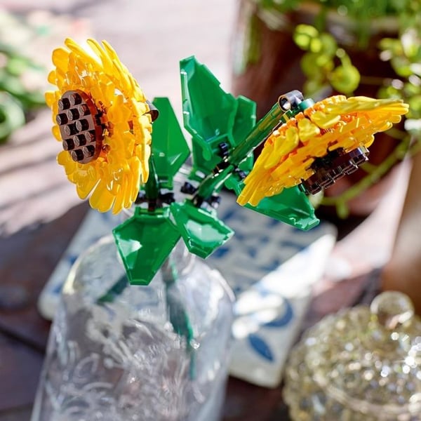40524 Solrosor ® Botanicals