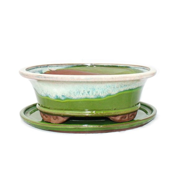 Bonsai-skål med fat St. 4 specialglasyr med elegant färgövergångseffekt oval 09 ljusgrön-beige L 25,5cm B 21cm H 9cm