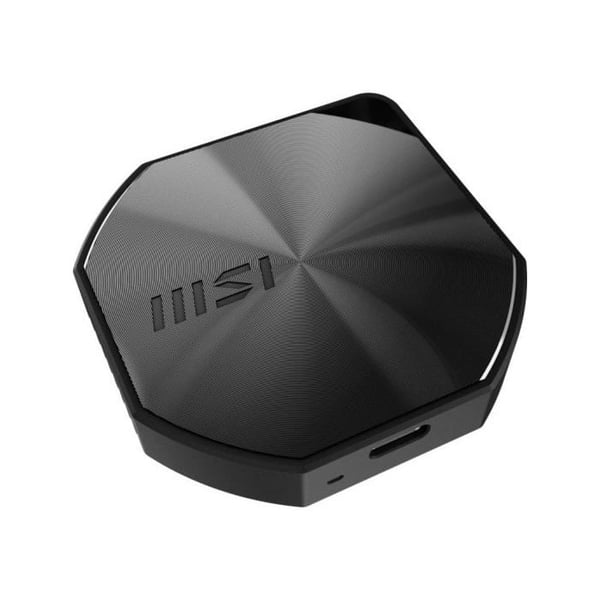 Bärbar extern SSD - MSI - DATAMAG - 1 To - USB Type-C - 20Gbps