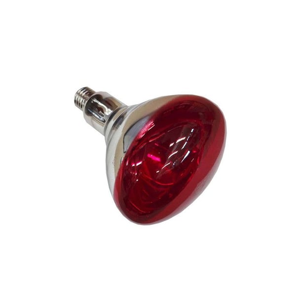 Infraröd lampa för hund - PHILIPS - 250W - Förstärkt glas - Stänksäker - Röd