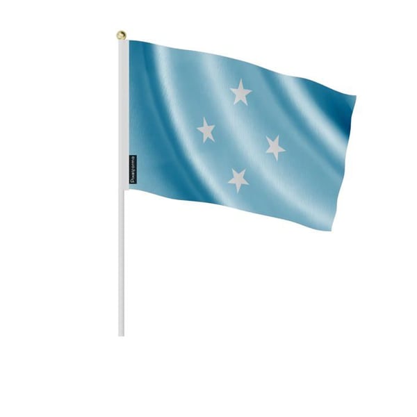 Mini-flaggsats – Förenta staternas federerade mikronesi – 14 x 21 cm – Att hålla i handen – Polyester - 100 stycken – Pixelforma