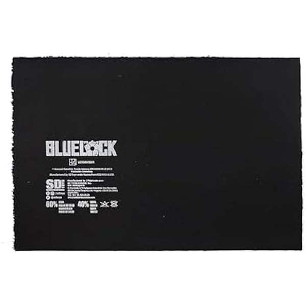 Paillasson - SD TOYS - Blå Lock - 60 x 40 cm - Kokosfiber - Halkfri vinyl