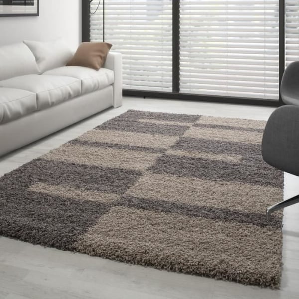 Tapis Shaggy - Gala - Taupe-Beige - 120x170 cm - Lång lugg - Inomhus