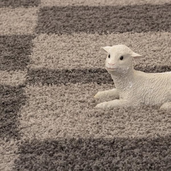 Tapis Shaggy - Gala - Taupe-Beige - 120x170 cm - Lång lugg - Inomhus