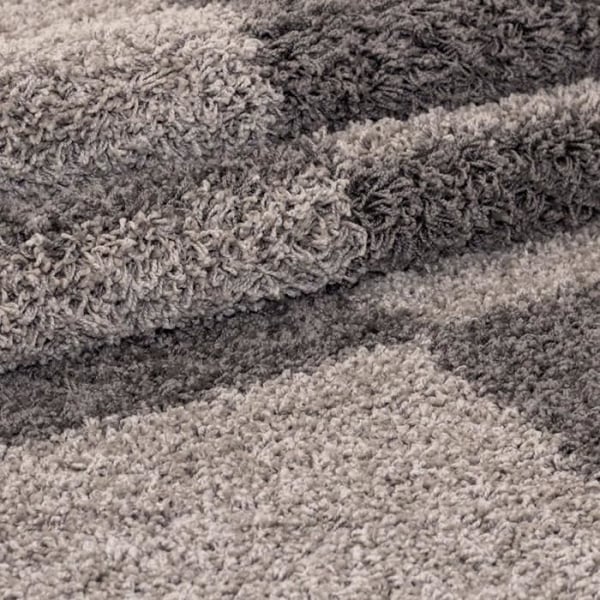 Tapis Shaggy - Gala - Taupe-Beige - 120x170 cm - Lång lugg - Inomhus