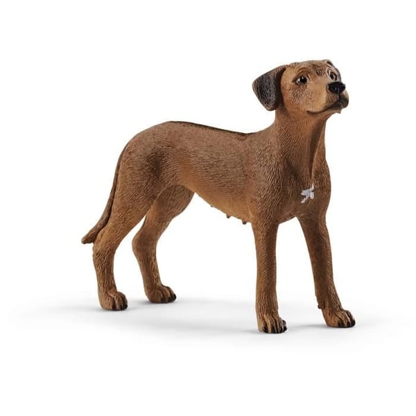 SCHLEICH Figurine - Rhodesian Ridgeback Dog - Farm World - Flerfärgad
