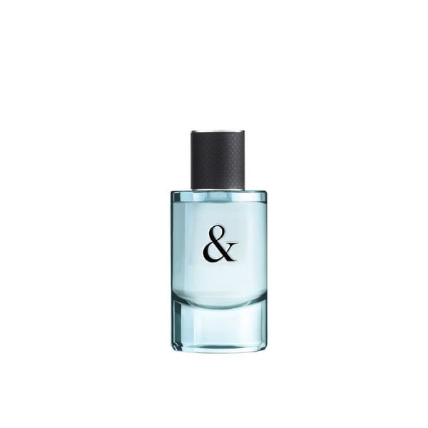 Herrparfym Eau de toilette Tiffany & Co 3614227728820 Noir