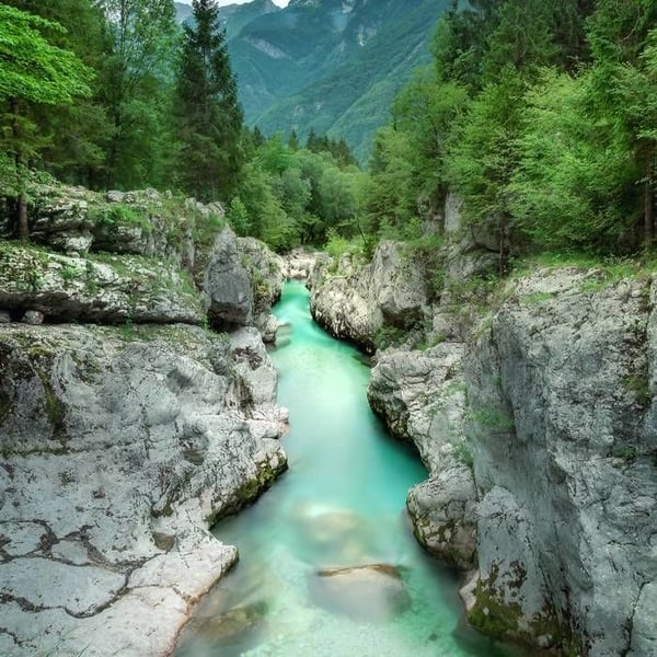 Fototapet 2527N-81 Digitaltryck Natur Landskap 1,5 x 2,7 m Erismann Zooom Grön
