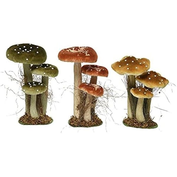 Svampuppsättning - EDM - 14 x 18 x 26 cm - Mossa - Blandade färger - Inredning