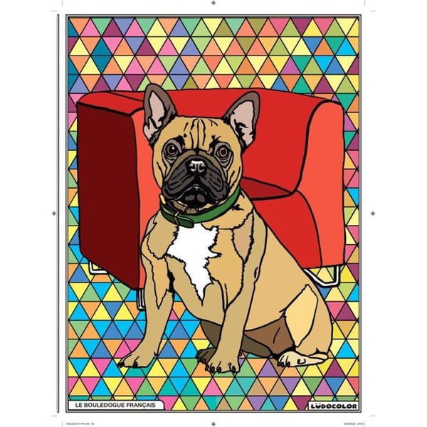 LudoColor - Färgläggningsduk i sammet Fransk Bulldog