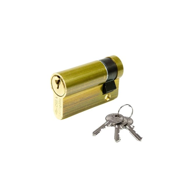 Logo Halvcylinder Std. 40mm 08030.02.0 Cisa - Cisa