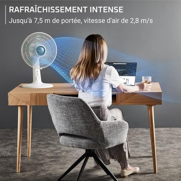 Rowenta Turbo Silence Extrême, Bordventilator, VU2740F0