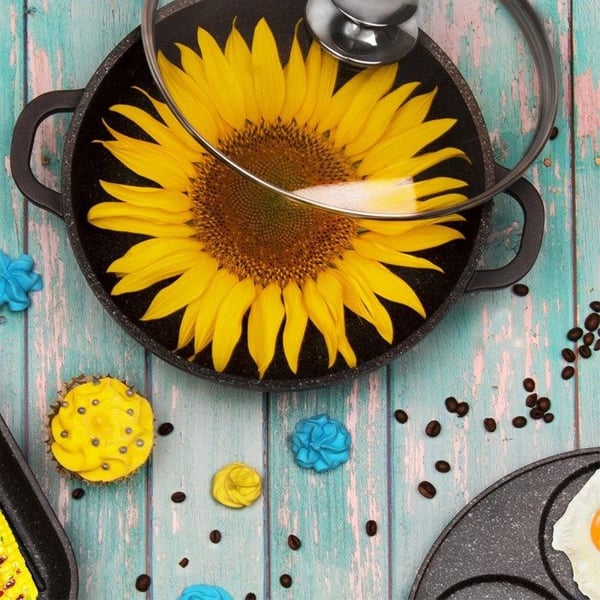 Marmite - ORION - GRANDE - Diameter 20 cm - Glaslock - Non-stick yta