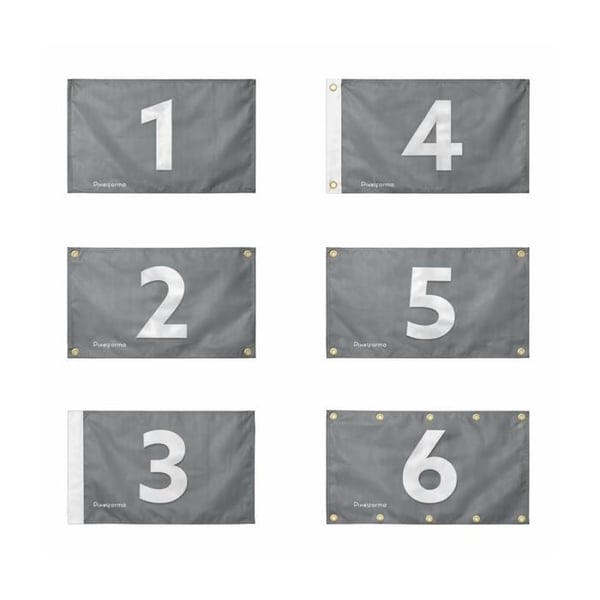 Flagga Auvergne-Rhône-Alpes – 60 x 90 cm – Motståndskraftigt Polyester – 2 Metallöglor – Inomhus / Utomhus – Pixelforma