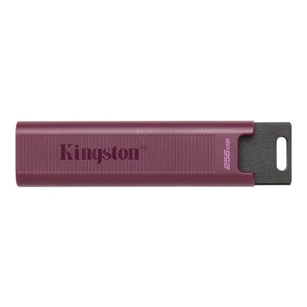 Kingston DTMAXA-1TB USB-minne