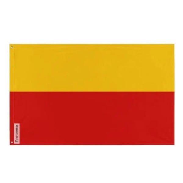 Inofficiell flagga för Karnataka – 160 x 240 cm – Polyester – Järnöglor – Hållbar