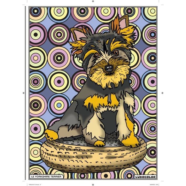 LudoColor - Sammetstavla att färglägga Yorkshire Terrier