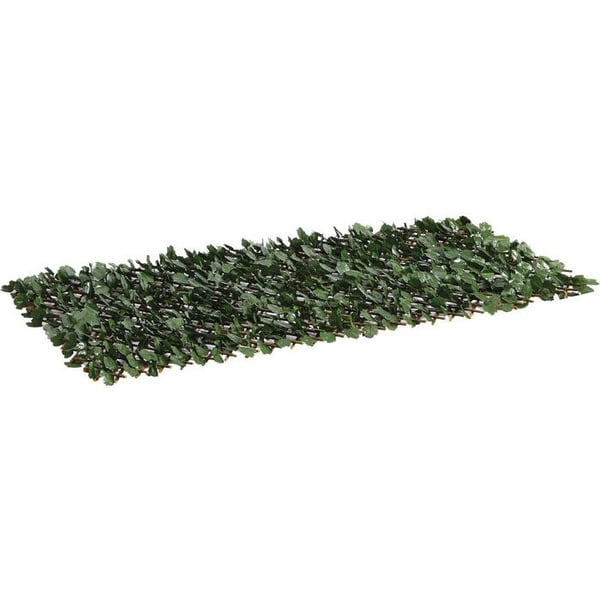 Willow spaljéstaket "Fragon" - 200 x 100 cm - Grön