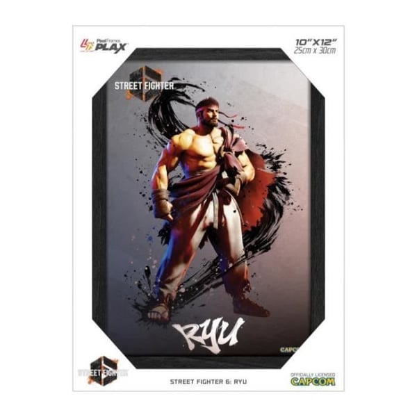 Cadre Pixel Frames - BARA FÖR SPEL - Street Fighter 6 - Ryu - 30cm x 23cm - Lentikulär