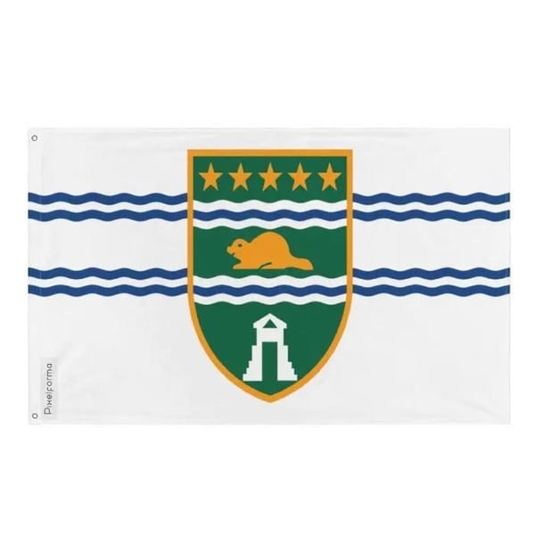 Surrey Flag – 64 x 96 cm – Resistenta Polyester – 2 Metallöglor – Inomhus / Utomhus – Pixelforma