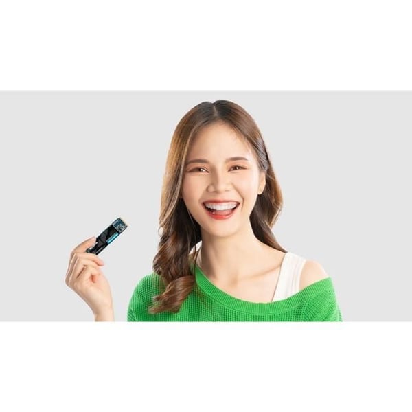 KIOXIA - EXCERIA PLUS G4 - Intern harddisk - 2 To - SSD NVMe 2.0c