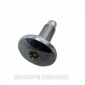 M8X23 TORX TEFL ROHS skruv för INDESIT tvättmaskin - C00143260 A1124UK - AD1600UK