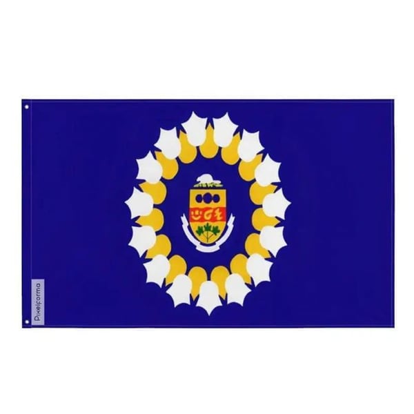 Oshawa-flagga – 120 x 180 cm – Hållbar polyester – 2 ögla i metall – Inomhus / Utomhus – Pixelforma