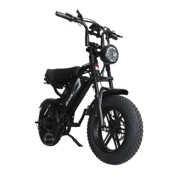 BAOLUJIE F2 Elektrisk Cykel til Voksne, Motor 500 W, Batteri 48 V 13 Ah, Terræn Dæk 16 Tommer