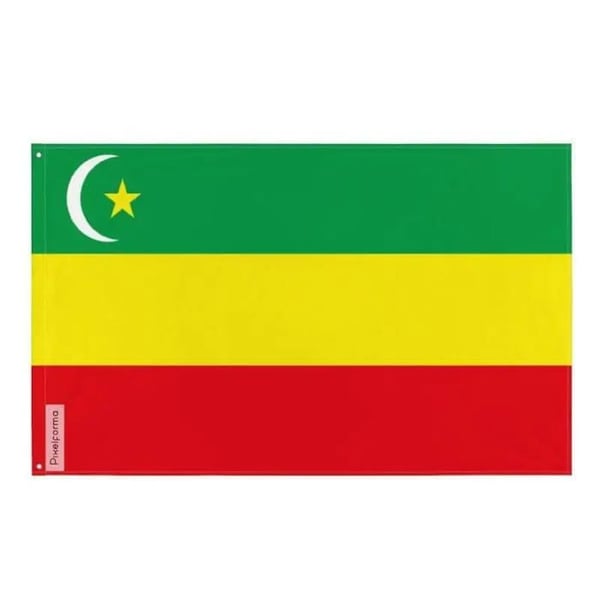 Alash Autonomiflagga – 160 x 240 cm – Hållbar Polyester – 2 Metallöljett – Inomhus / Utomhus – Pixelforma