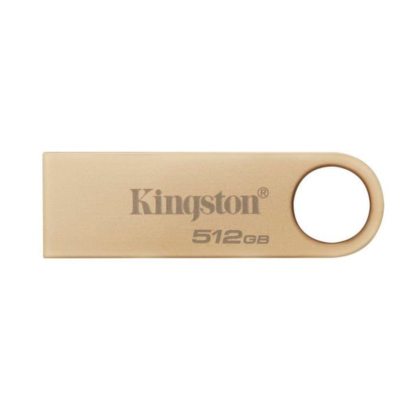 KINGSTON 512Go 220Mo/s Metall U