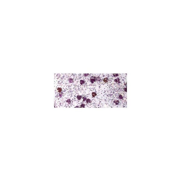 Glitter - Lim Litet hjärta, nejlika rosa/silver, 50ml flaska