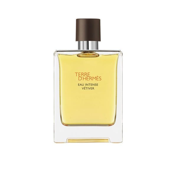Eau de Parfum TERRE D'HERMÈS EAU INTENSE VÉTIVER eau de parfum spray 100 ml