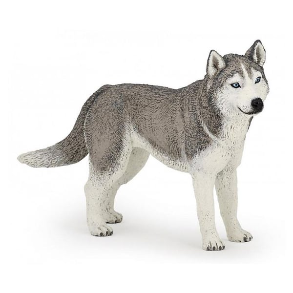 Siberian Husky Figurine - PAPO - För barn från 3 år och uppåt - Flerfärgad Siberian Husky Figurine - PAPO - För barn från 3 år och uppåt - Flerfärgad