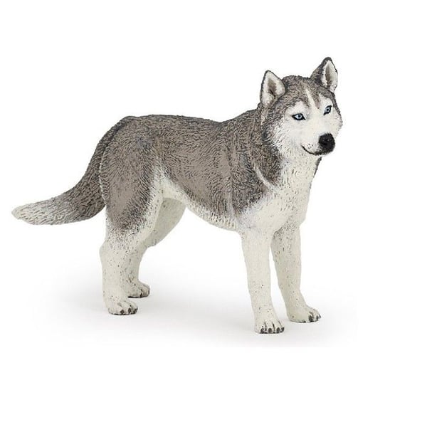 Siberian Husky Figurine - PAPO - För barn från 3 år och uppåt - Flerfärgad
