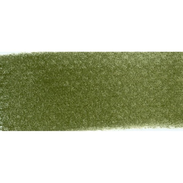 Pastellmålning - PanPastel - Ljusgrön mycket mörk - Professionell - Blandad - Vuxen